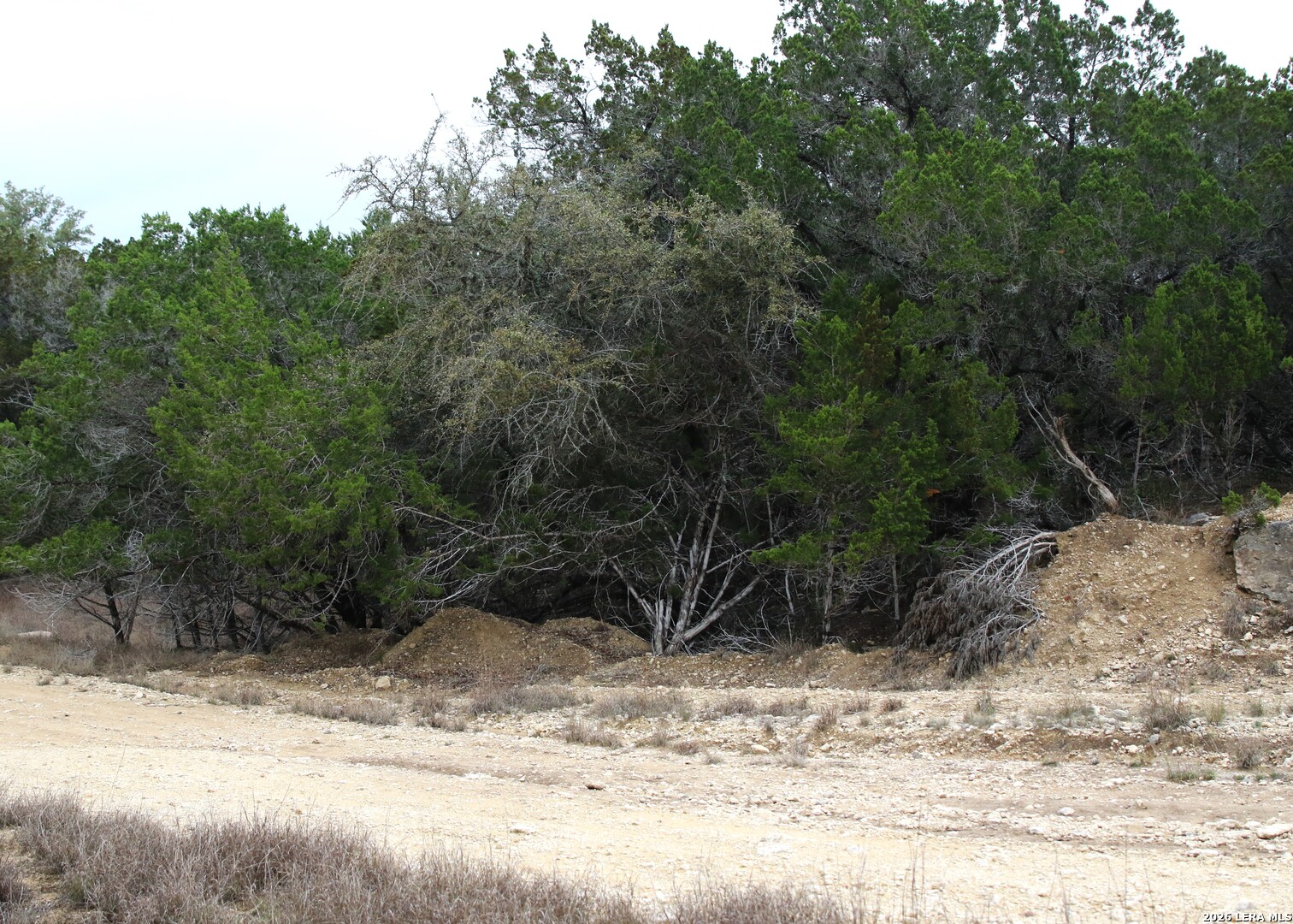 169 Red Bluff Drive Pipe Creek TX 78063