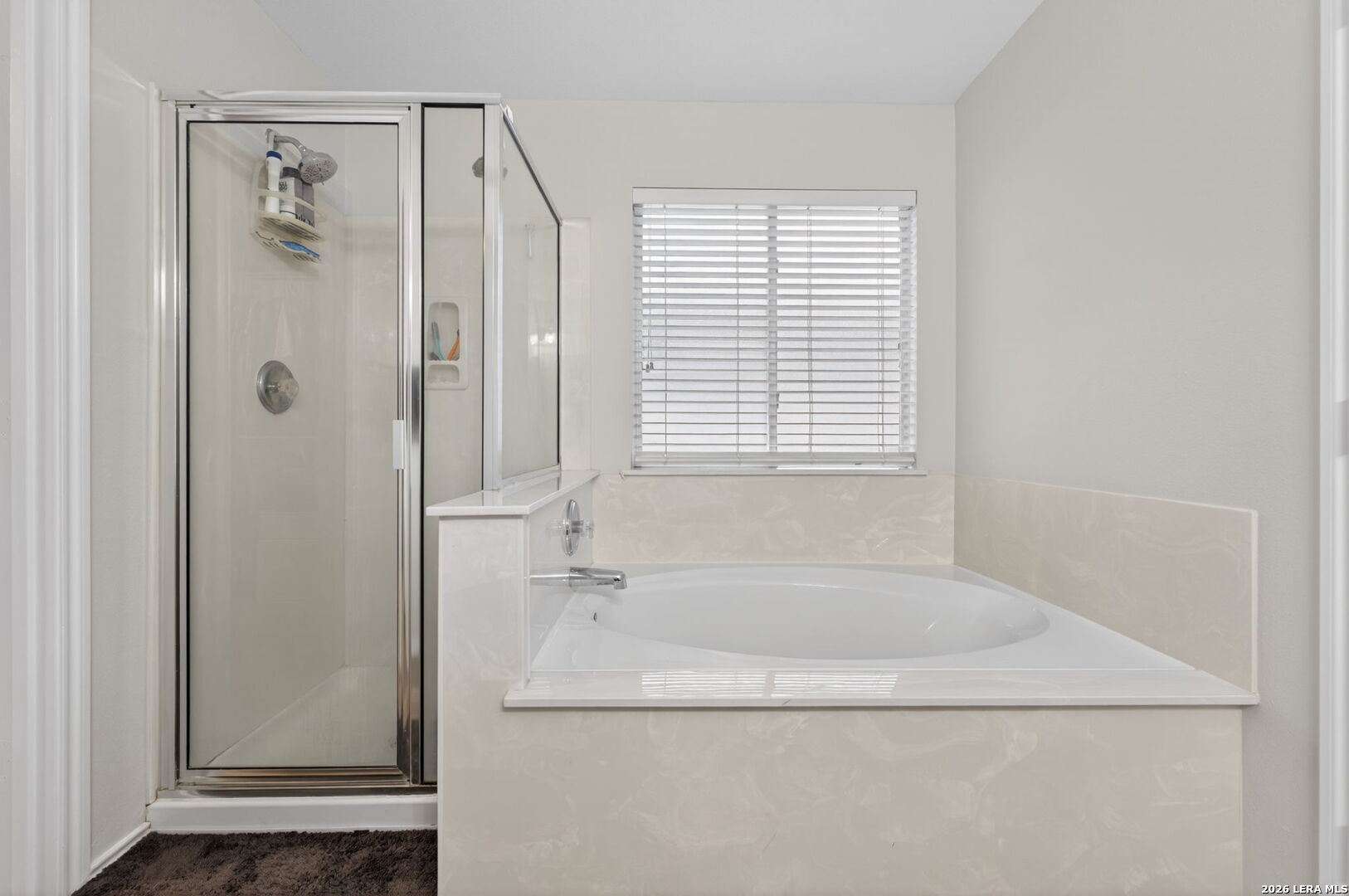 217 Willow Run Cibolo TX 78108