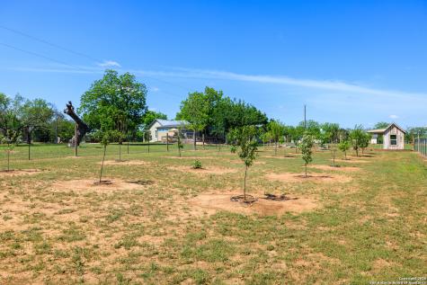 308 Oakhaven Lane Fredericksburg TX 78624