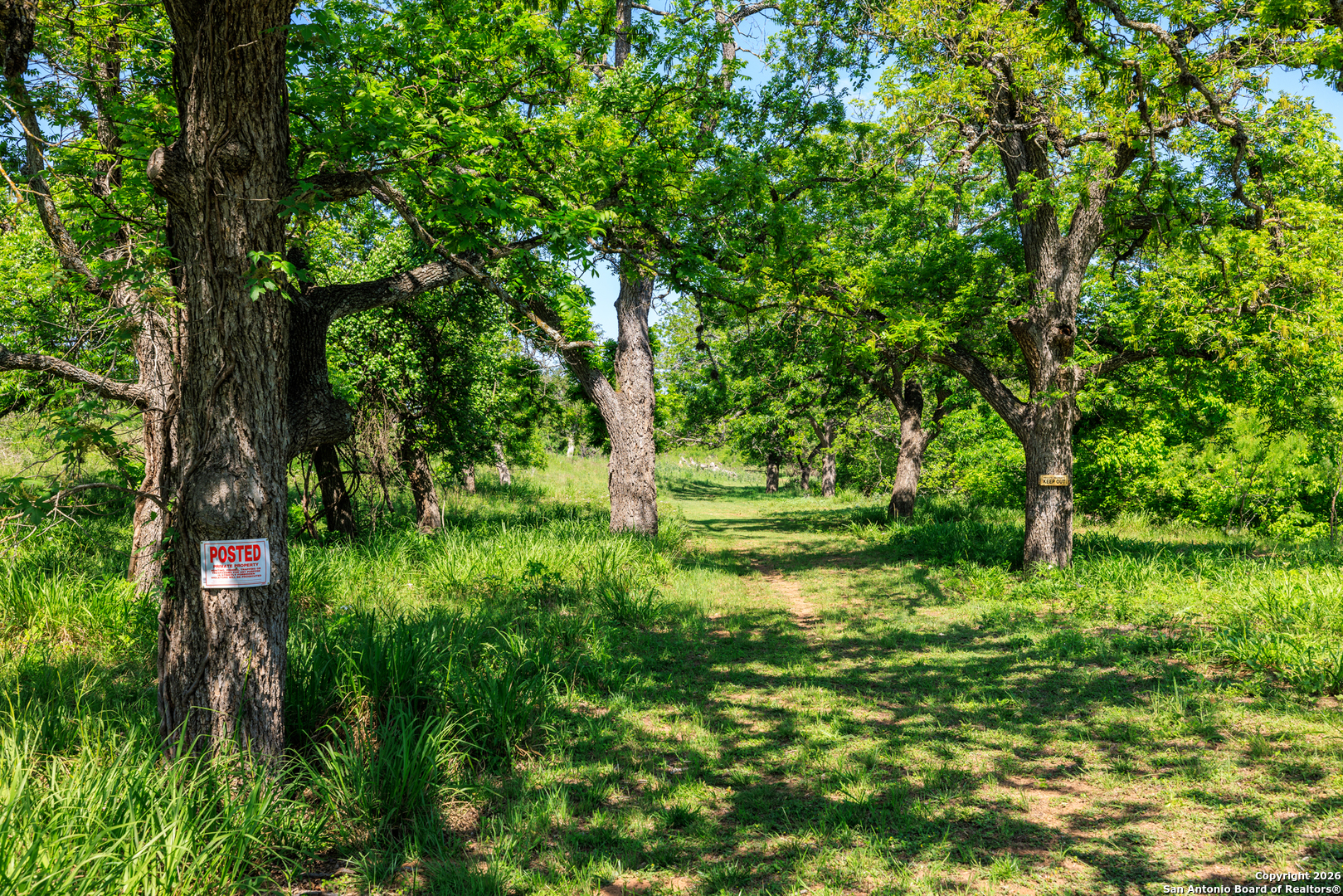 308 Oakhaven Lane Fredericksburg TX 78624