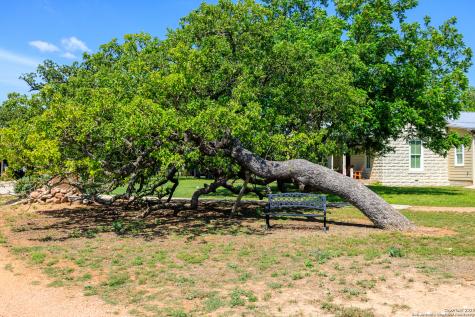308 Oakhaven Lane Fredericksburg TX 78624