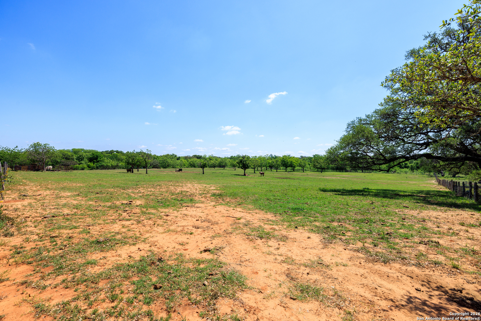 308 Oakhaven Lane Fredericksburg TX 78624