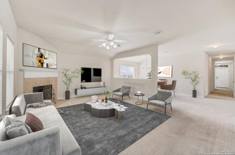 1239 Sandhill Crane New Braunfels TX 78130