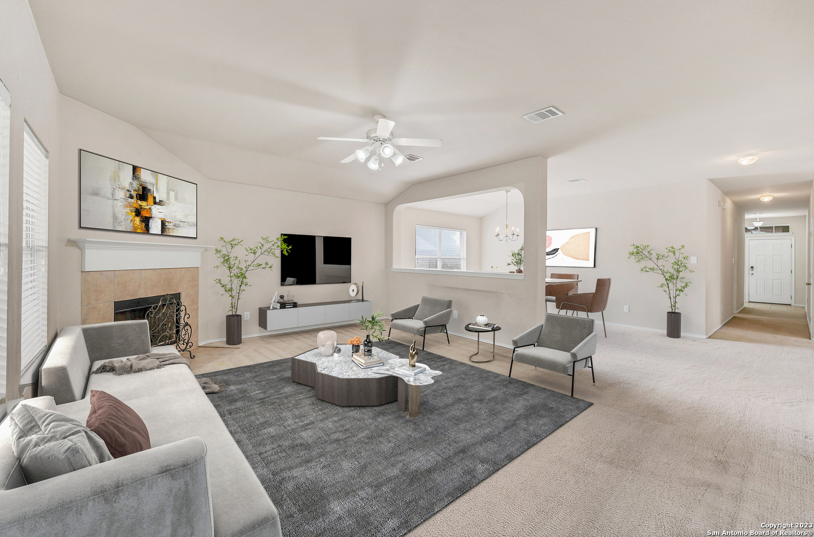 1239 Sandhill Crane New Braunfels TX 78130