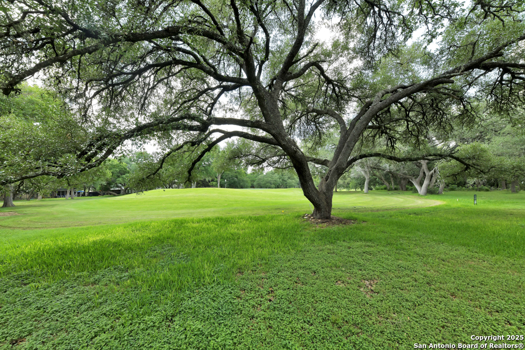 16 Westwood Wimberley TX 78676