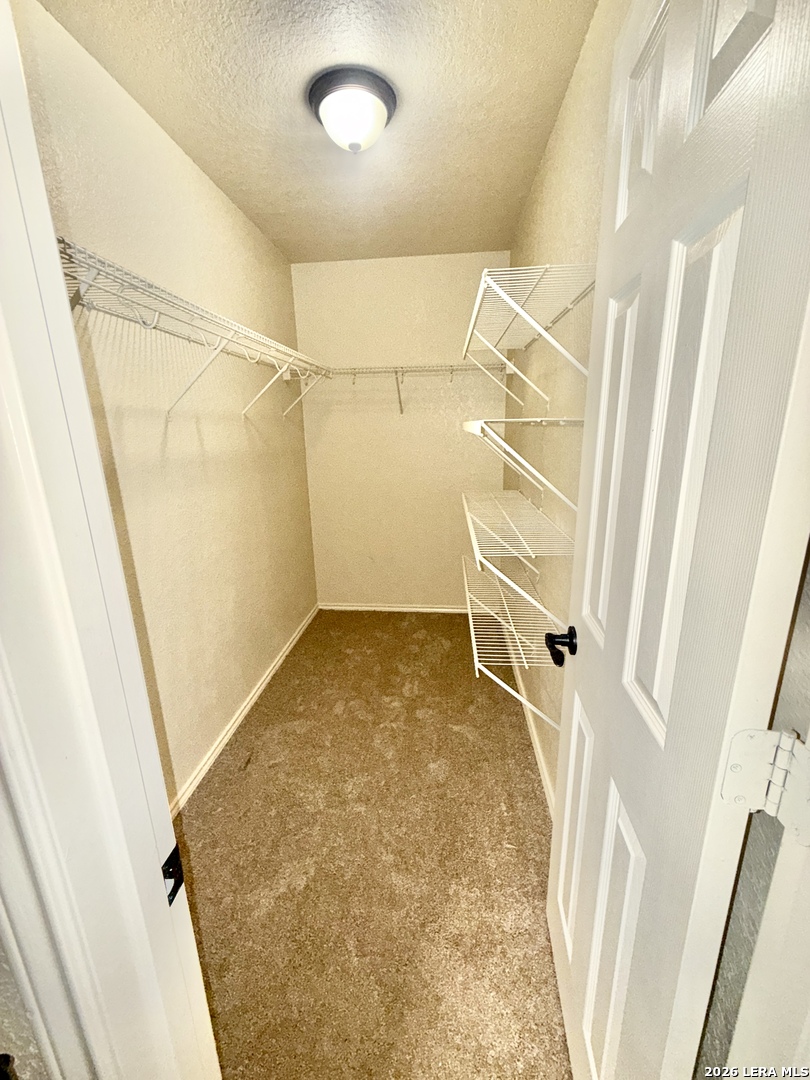 8810 Canvas Back San Antonio TX 78245