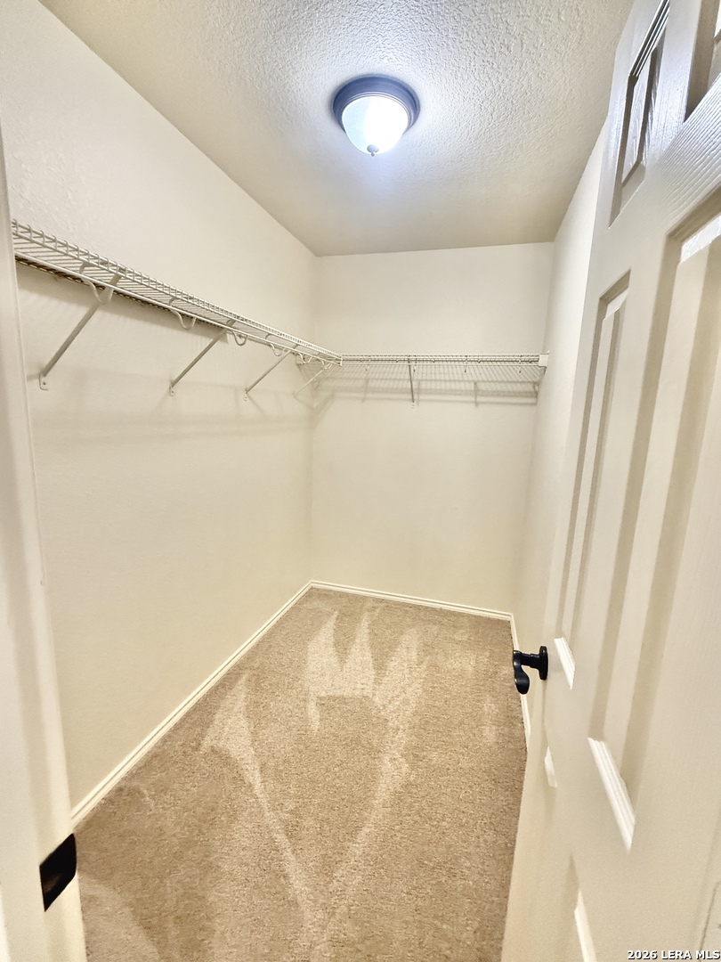 8810 Canvas Back San Antonio TX 78245