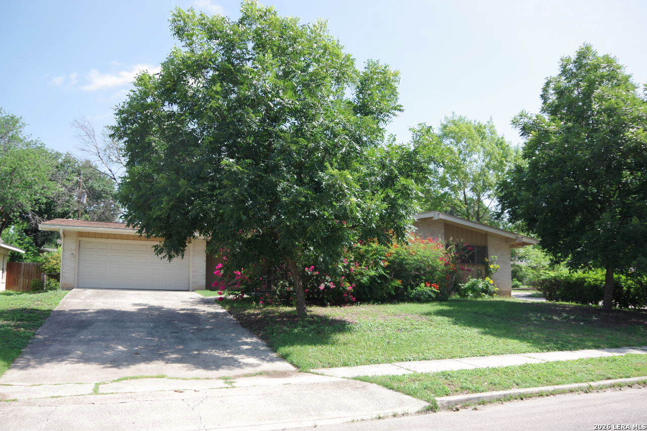 323 Coronet San Antonio TX 78216