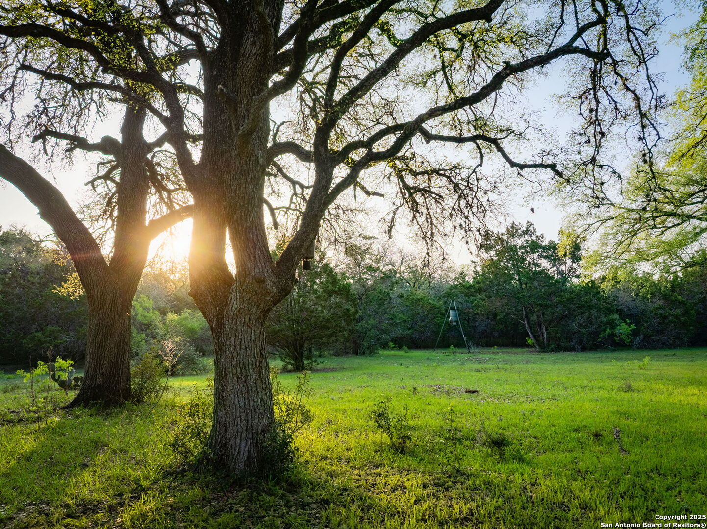 200 Elm Creek New Braunfels TX 78132
