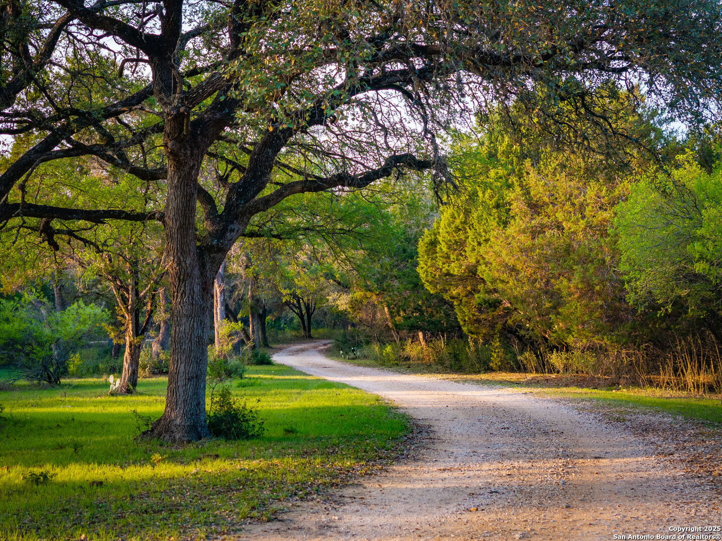 200 Elm Creek New Braunfels TX 78132