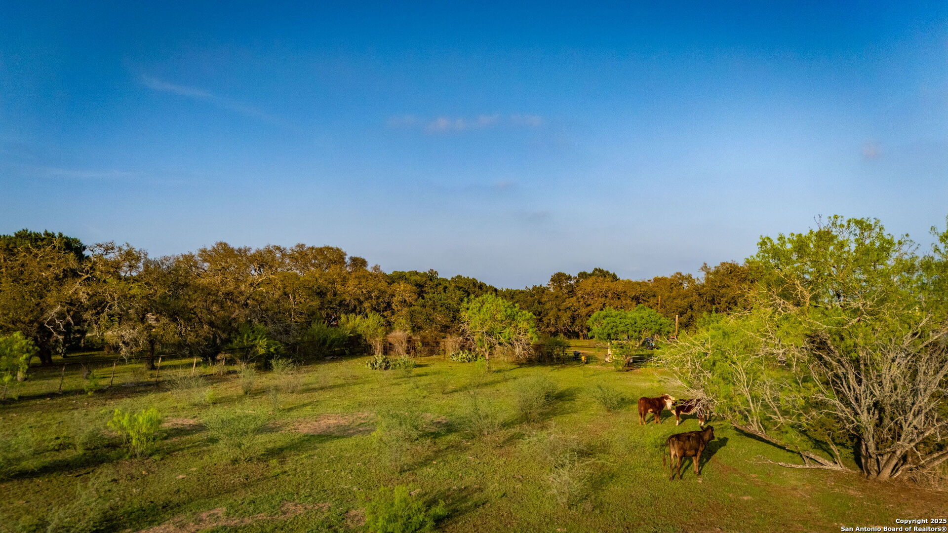 200 Elm Creek New Braunfels TX 78132