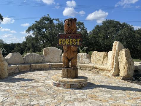 116 Ocotillo Boerne TX 78006