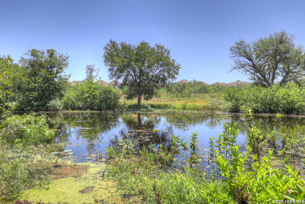 2931 Aller New Braunfels TX 78130
