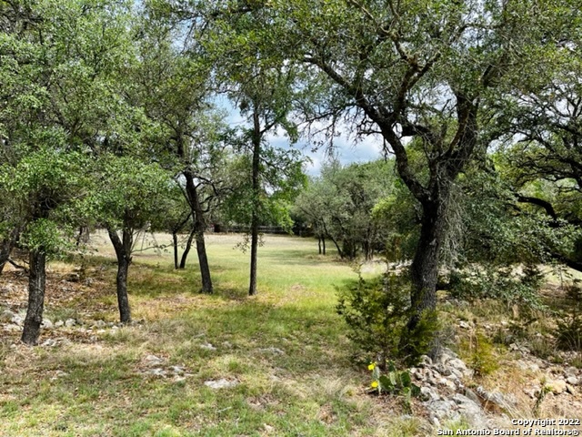 1305 Valley Springs Road Spring Branch TX 78070