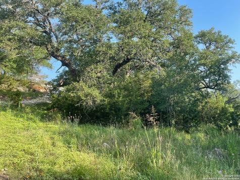 1449 Lavaca Canyon Lake TX 78133