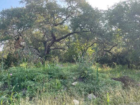 1449 Lavaca Canyon Lake TX 78133