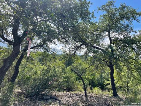 1449 Lavaca Canyon Lake TX 78133