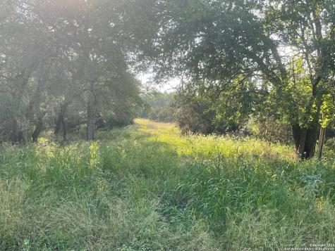 1449 Lavaca Canyon Lake TX 78133