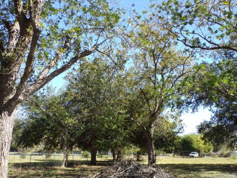 11957 Kearney Road Atascosa TX 78002