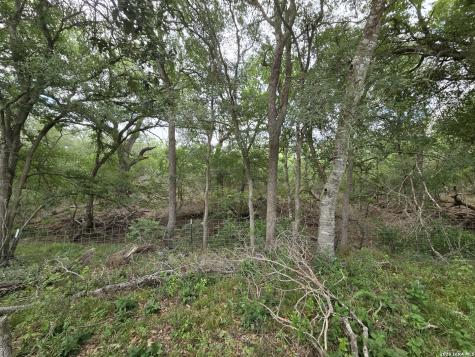 124 Elm Country Drive La Vernia TX 78121