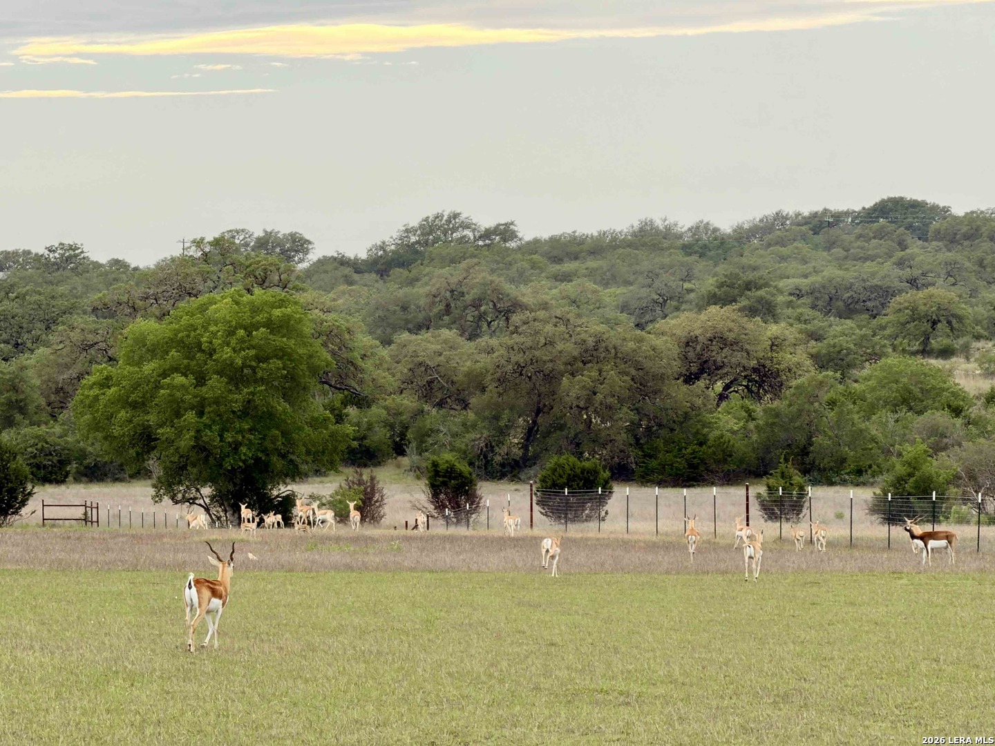835 Winans Ranch Road Bandera TX 78003
