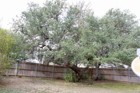 26619 Redstone San Antonio TX 78261