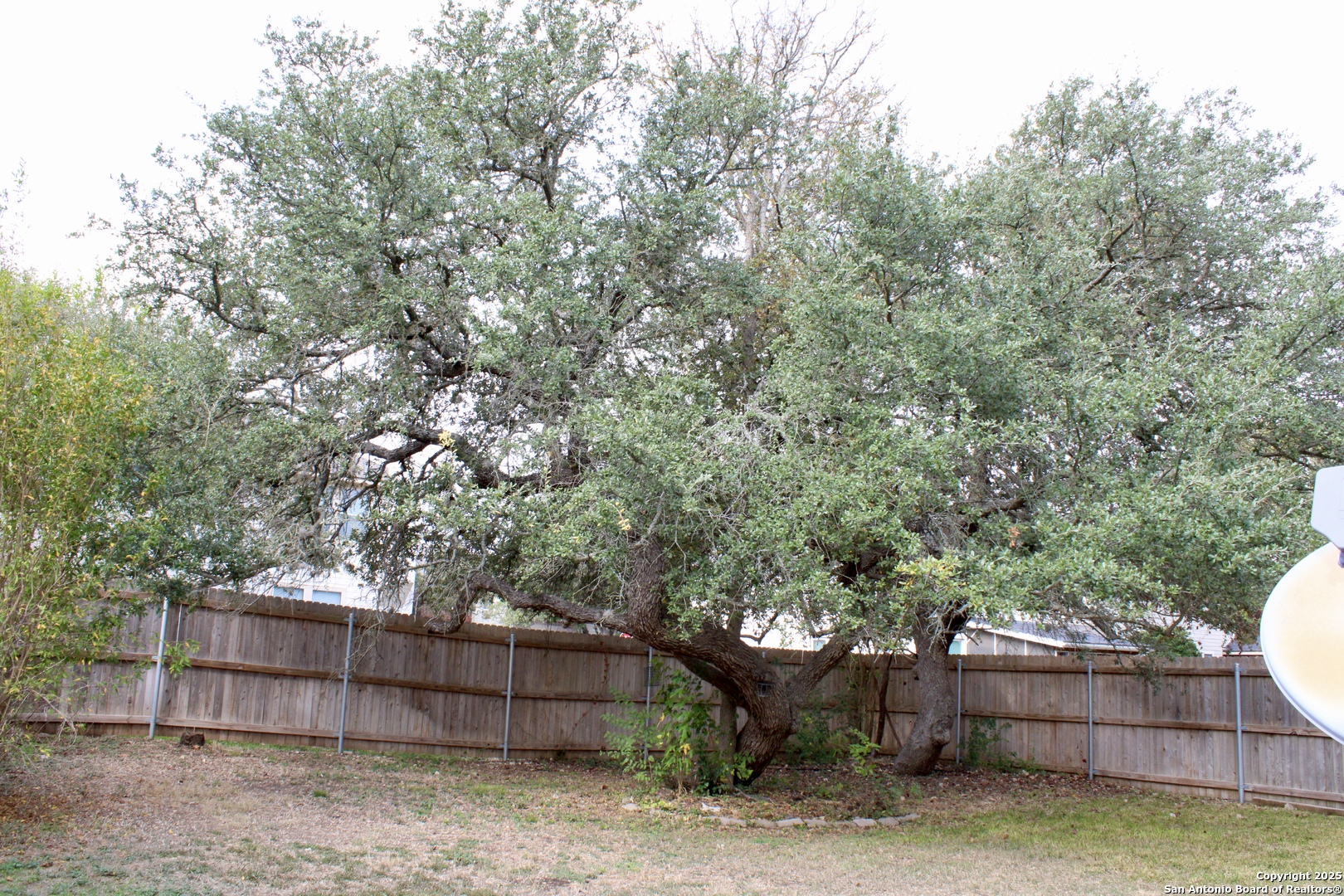 26619 Redstone San Antonio TX 78261