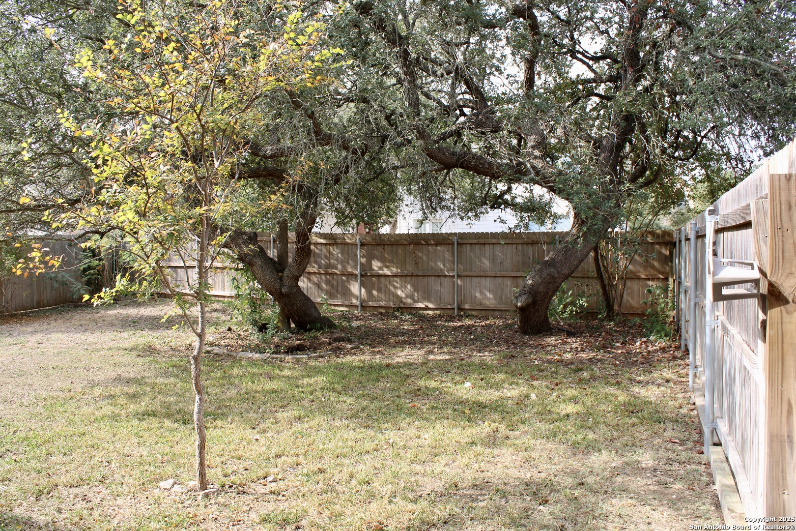 26619 Redstone San Antonio TX 78261