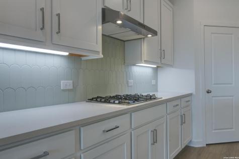 1417 Burrs Ferry Court Seguin TX 78155