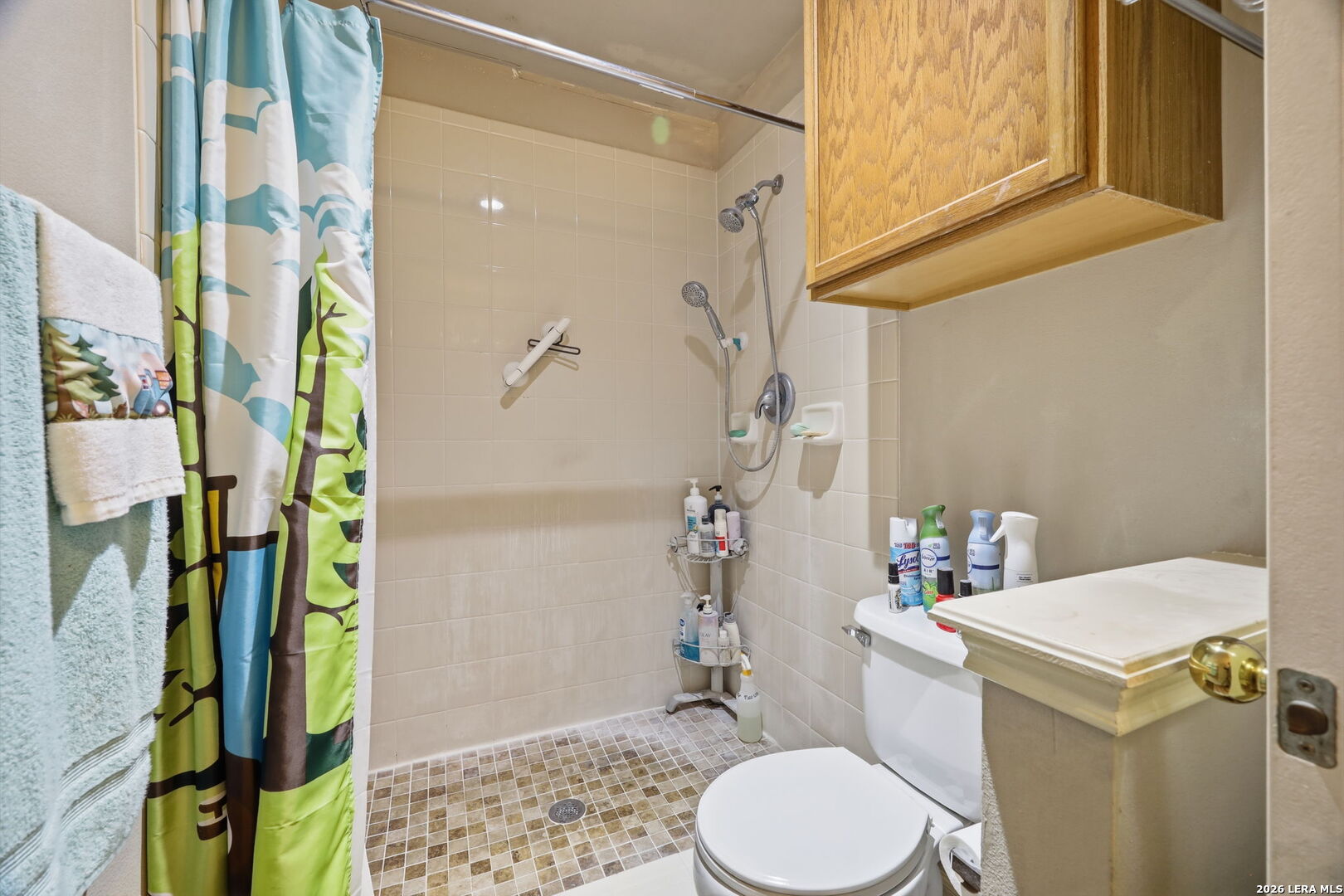 13651 Bridgeview San Antonio TX 78247