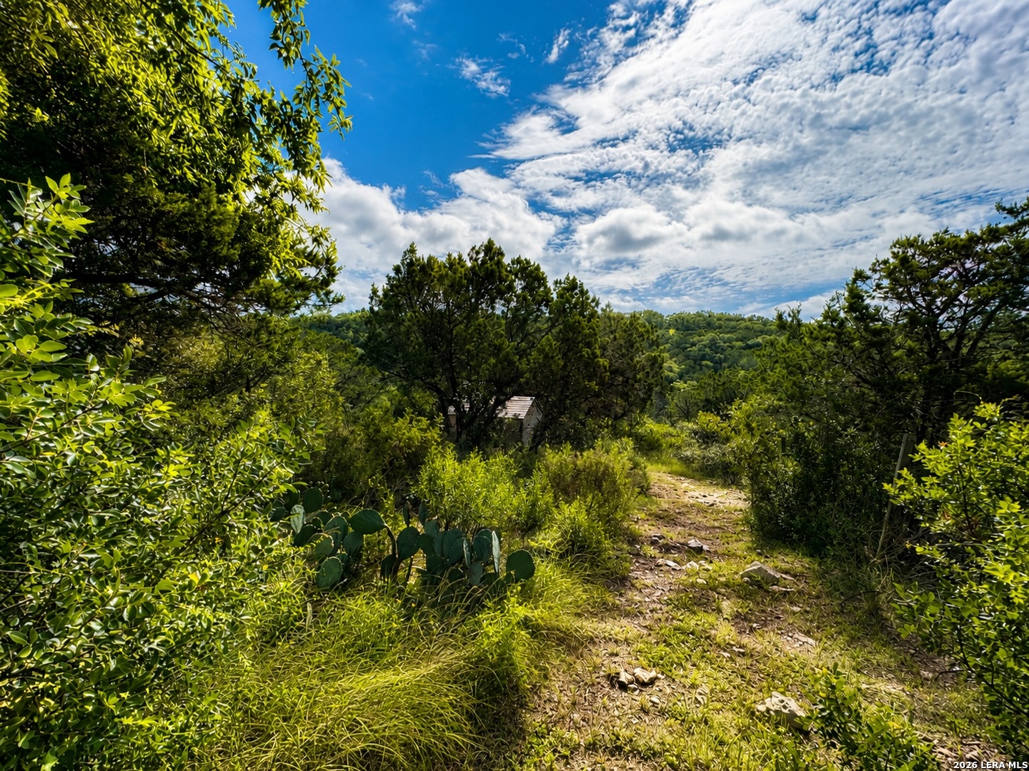 14806 Circle J Trail Helotes TX 78023