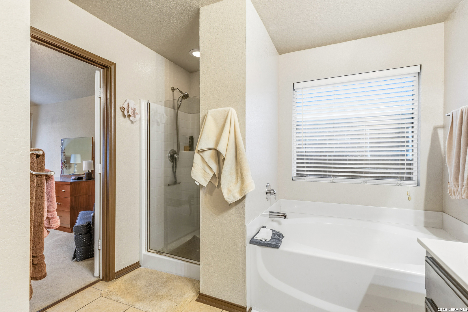 9826 Pagodia View San Antonio TX 78245