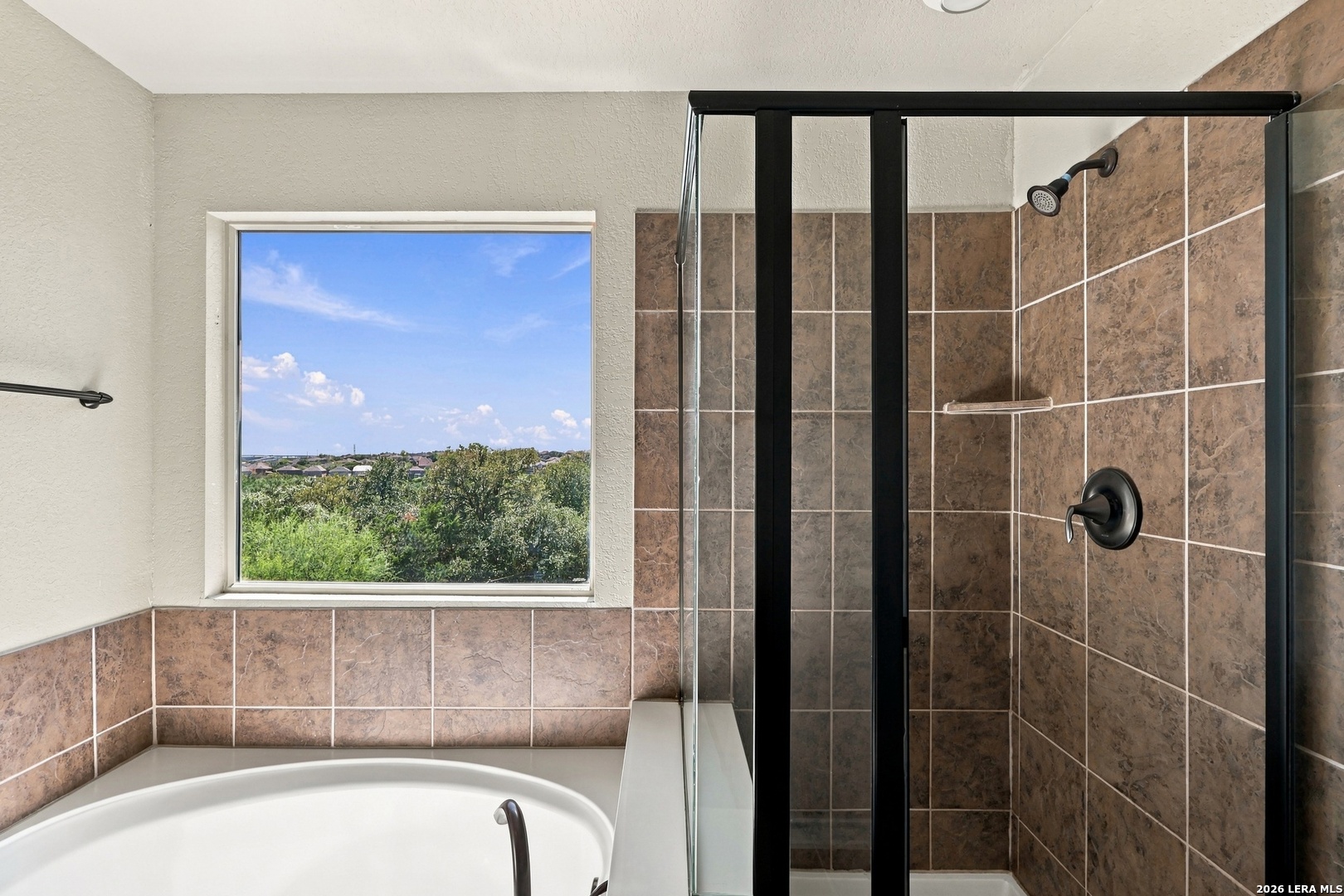 21822 Andrews Garden San Antonio TX 78258