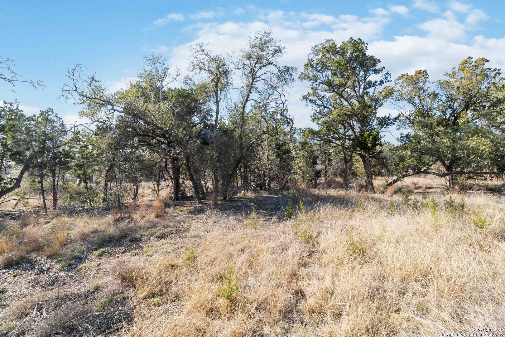 716 Live Oak Ridge Bulverde TX 78163