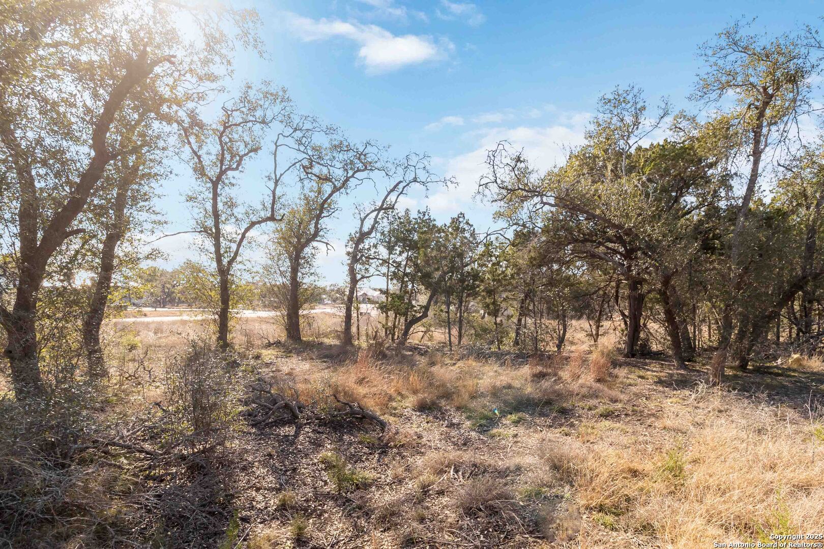716 Live Oak Ridge Bulverde TX 78163
