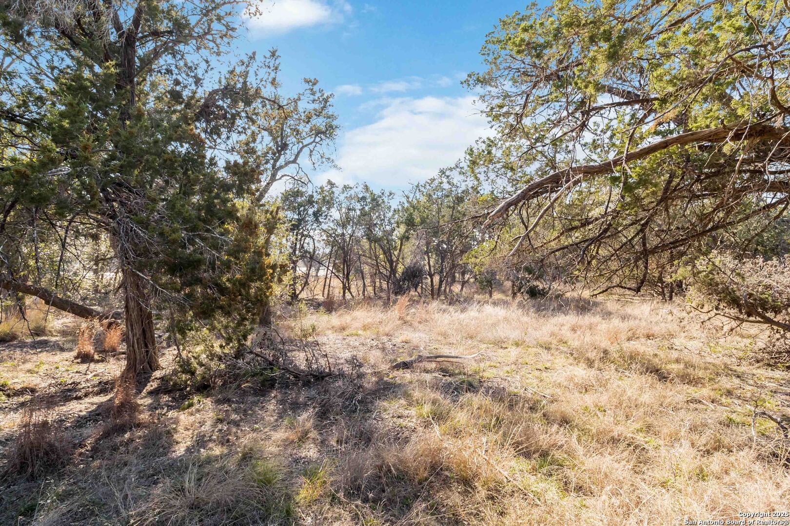 716 Live Oak Ridge Bulverde TX 78163