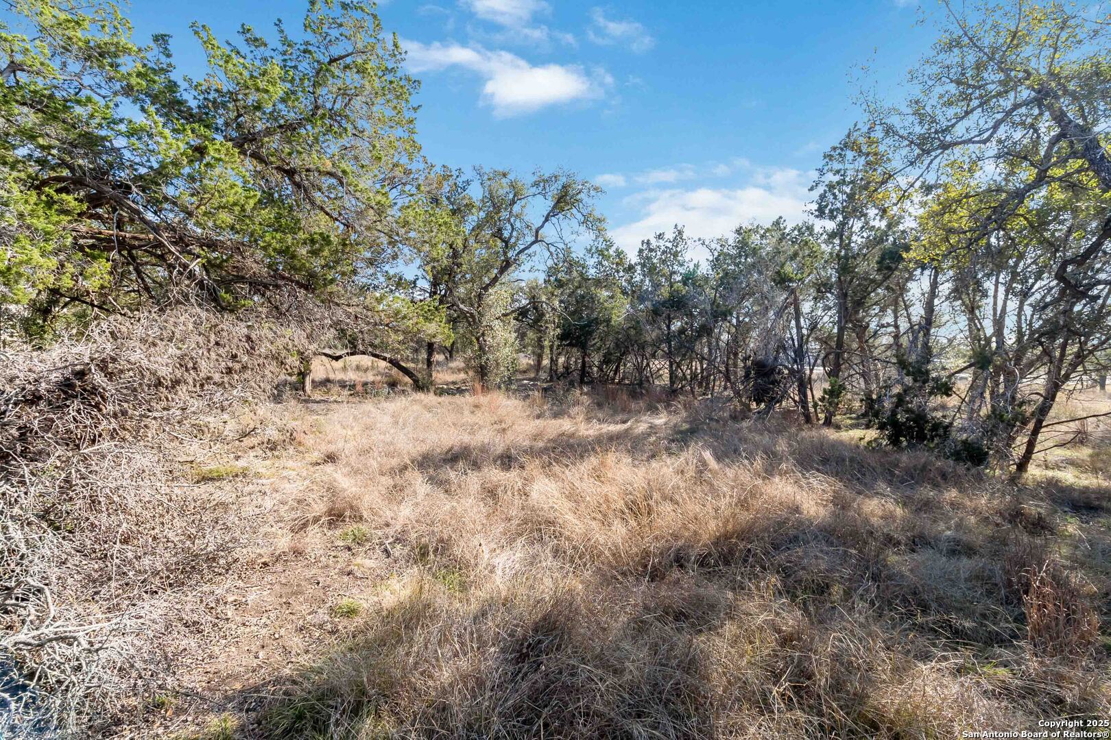 716 Live Oak Ridge Bulverde TX 78163