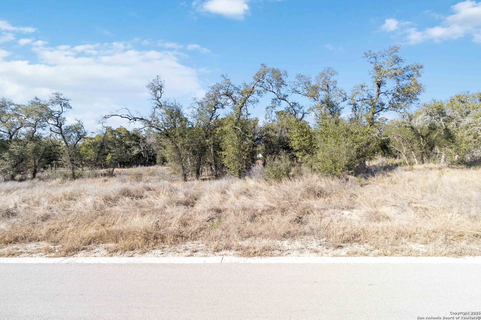 716 Live Oak Ridge Bulverde TX 78163
