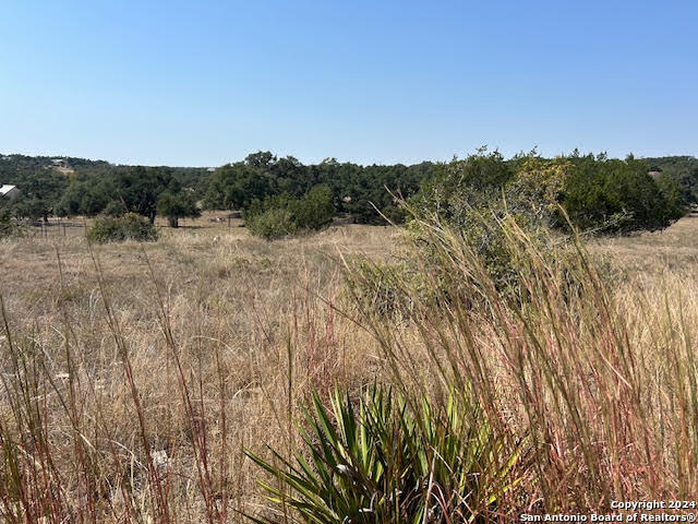 134 George Dolson Blanco TX 78606