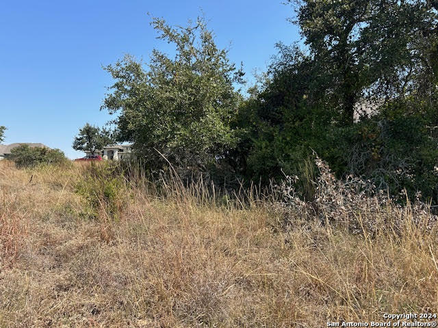 134 George Dolson Blanco TX 78606