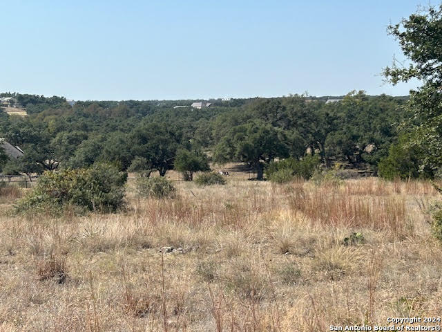 134 George Dolson Blanco TX 78606
