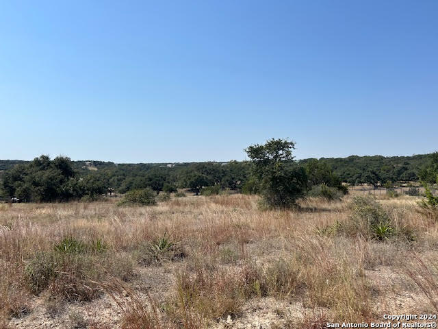 134 George Dolson Blanco TX 78606