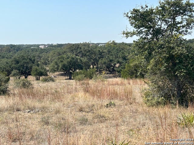 134 George Dolson Blanco TX 78606