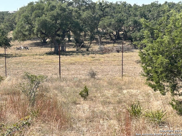134 George Dolson Blanco TX 78606