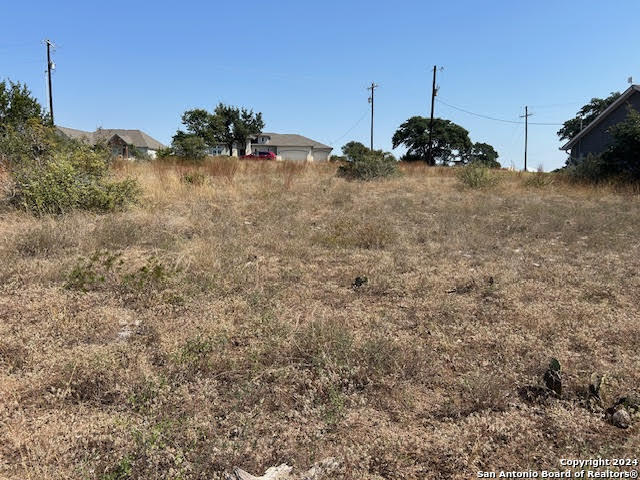 134 George Dolson Blanco TX 78606