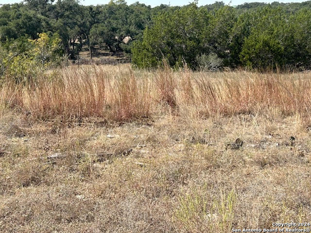 134 George Dolson Blanco TX 78606