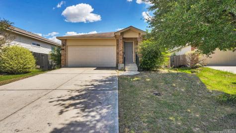 3346 Kinglet Court New Braunfels TX 78130