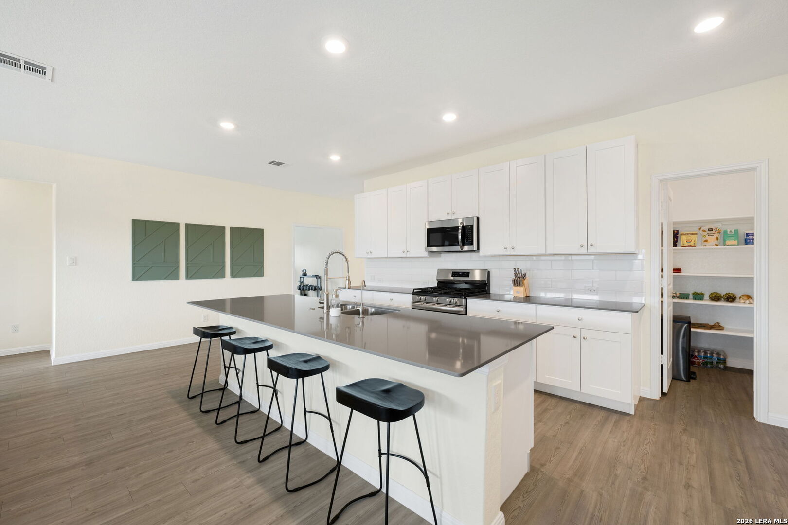 32346 Star Anise Way Bulverde TX 78163