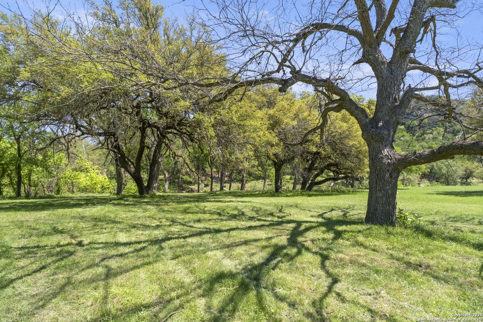 829 Bingham Lane New Braunfels TX 78132