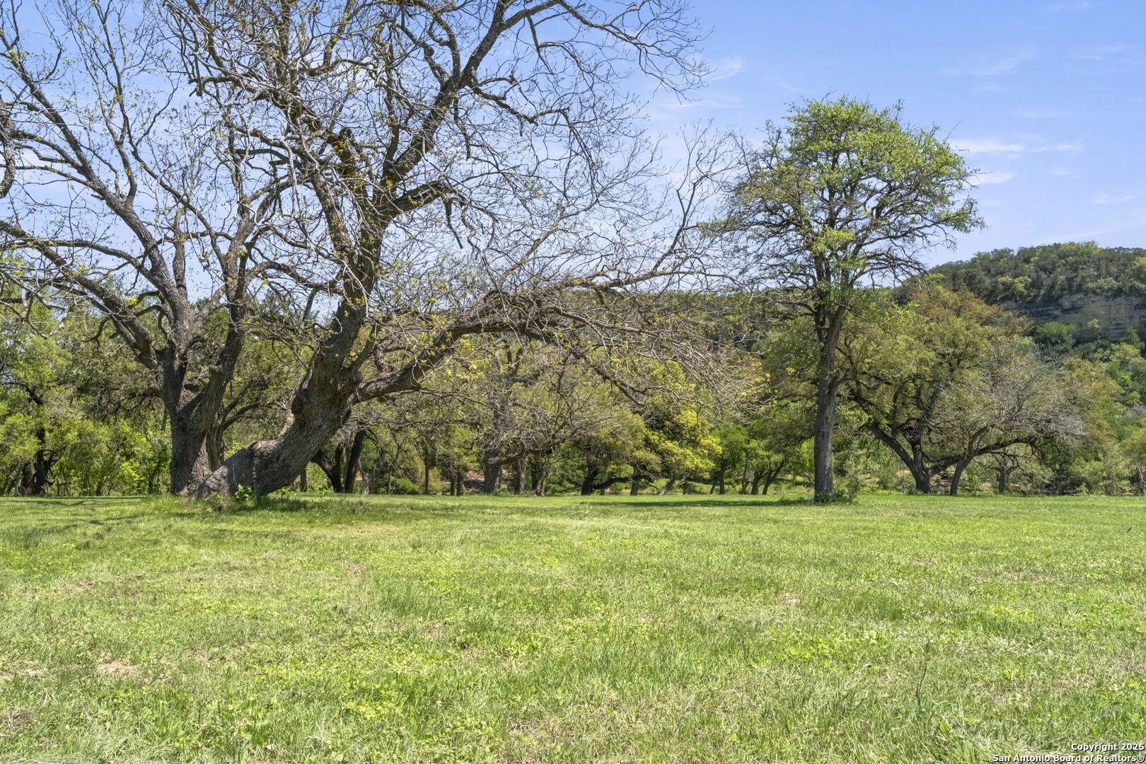 829 Bingham Lane New Braunfels TX 78132